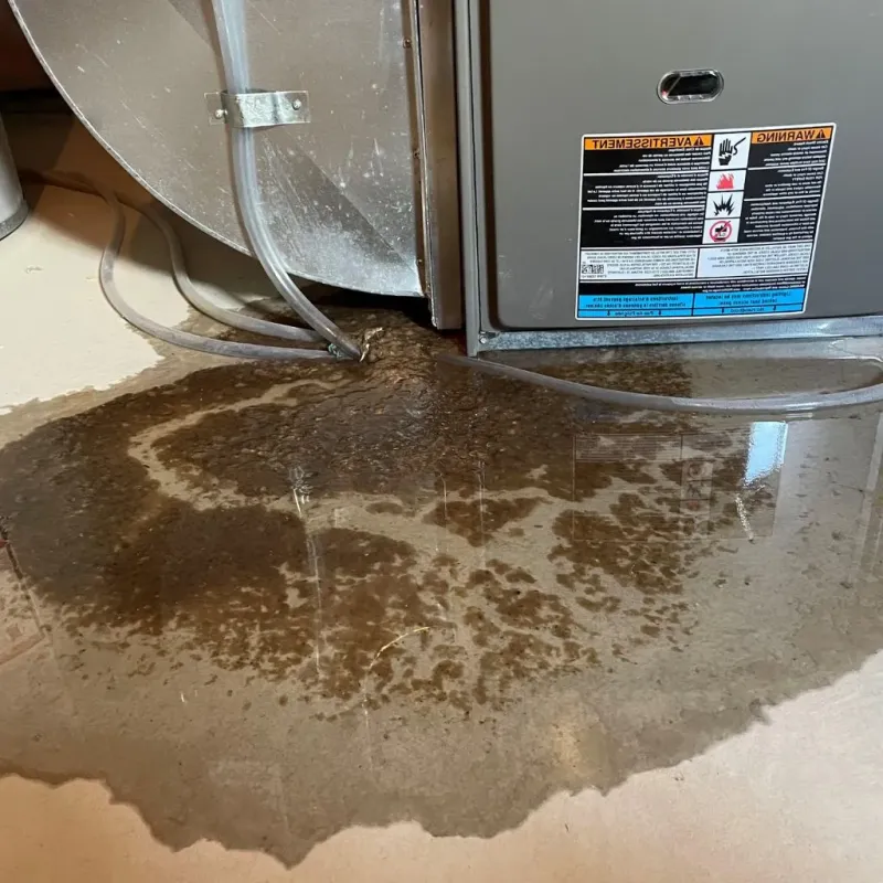 Pipe Burst and Leak Restoration in Blackfoot, ID